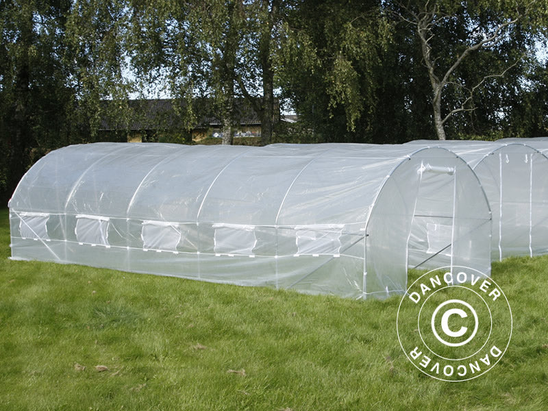 Polytunnel Greenhouse 4x8x2 m, 32 m², Transparent