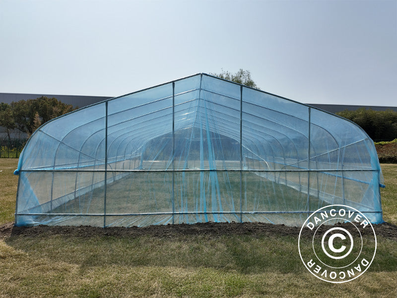 Polytunnel Greenhouse, 6x10x2.5 m, 100-micron PO Film, Transparent
