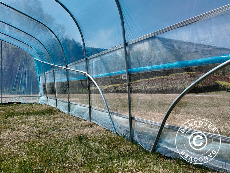 Polytunnel Greenhouse, 6x10x2.5 m, 100-micron PO Film, Transparent