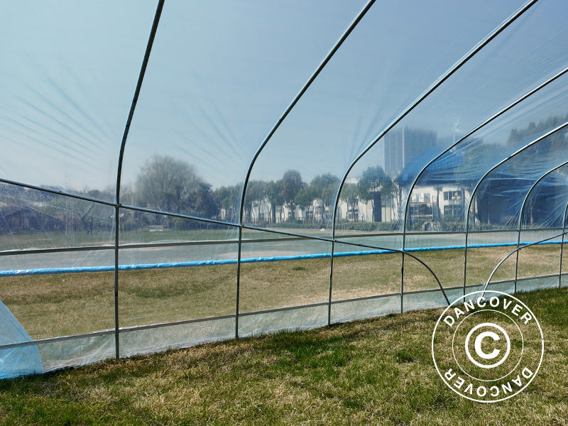 Polytunnel Greenhouse, 6x20x2,5m, 100-micron PO Film, Transparent