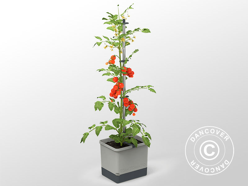 Planter, TOM TOMATO, w/stake and water tank, Light Grey