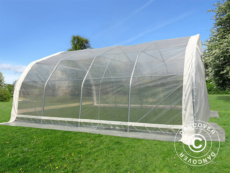 Polytunnel greenhouse, 5.4x6x2.9 m, PE, 32.4 m², Transparent