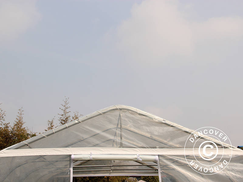 Polytunnel greenhouse, 5.4x6x2.9 m, PE, 32.4 m², Transparent