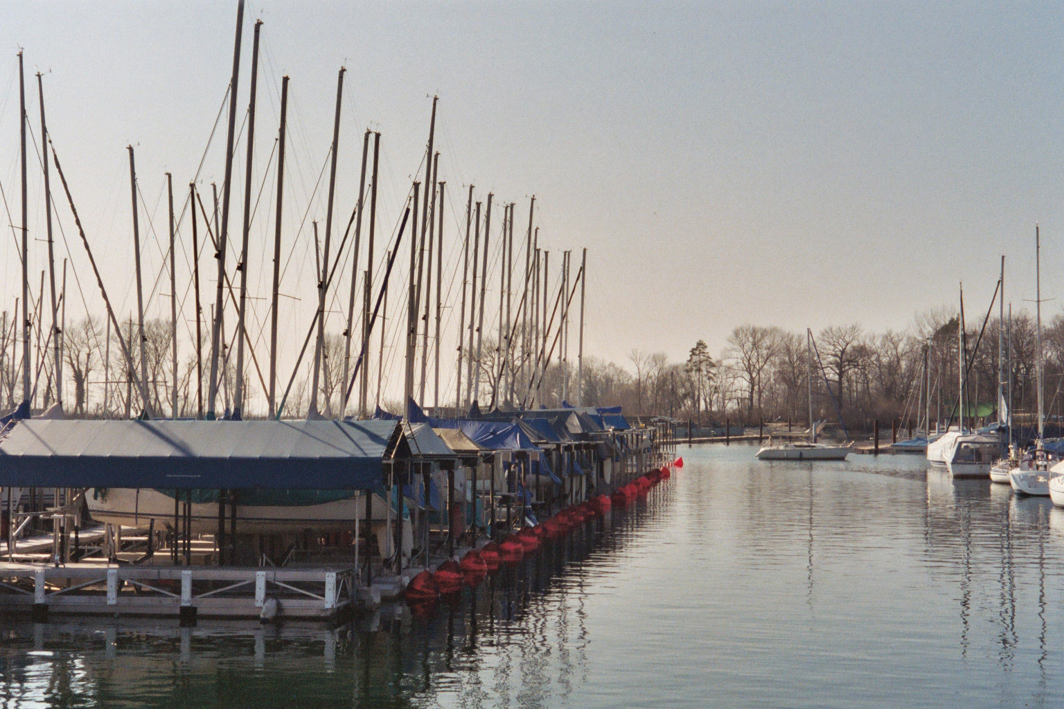 Tarpaulin 6x8 m, PVC 570 g/m², Blue